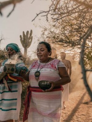 White-Lodge-Temazcal-36-min-1024x683-1-768x512-1